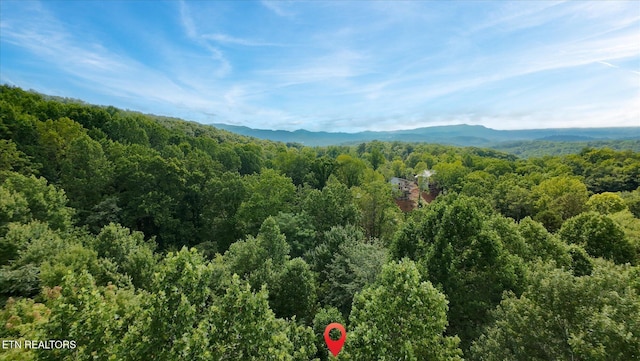 Cherry Vw Ln, Sevierville, TN 37876 - photo 52