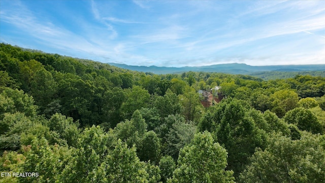 Cherry Vw Ln, Sevierville, TN 37876 - photo 53
