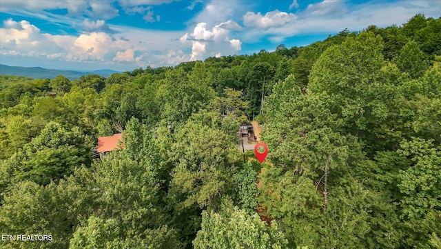 Cherry Vw Ln, Sevierville, TN 37876 - photo 54