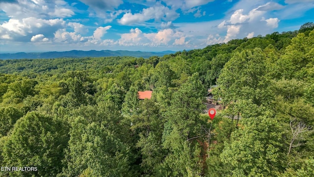 Cherry Vw Ln, Sevierville, TN 37876 - photo 56
