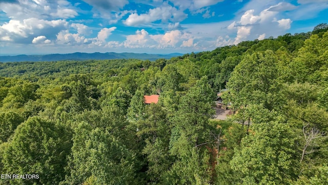 Cherry Vw Ln, Sevierville, TN 37876 - photo 57