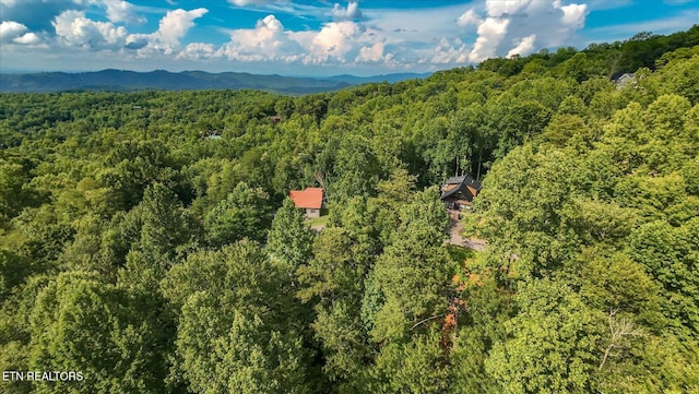 Cherry Vw Ln, Sevierville, TN 37876 - photo 59