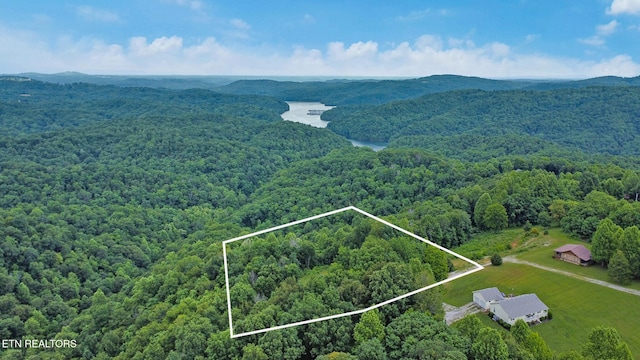 Hidden Cove Ln, Allons, TN 38541 - photo 2