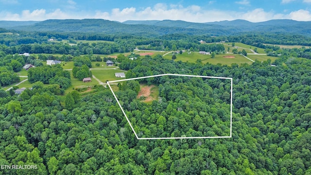 Hidden Cove Ln, Allons, TN 38541 - photo 3