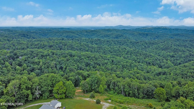 Hidden Cove Ln, Allons, TN 38541 - photo 10
