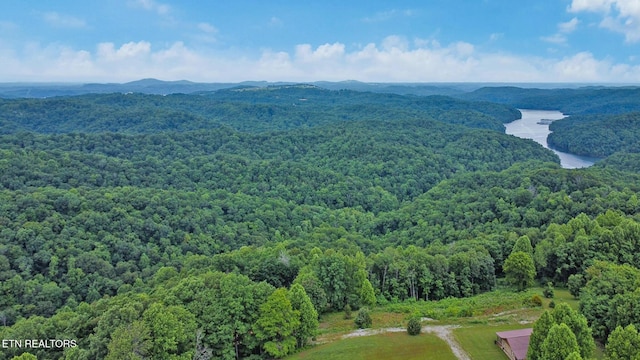 Hidden Cove Ln, Allons, TN 38541 - photo 11