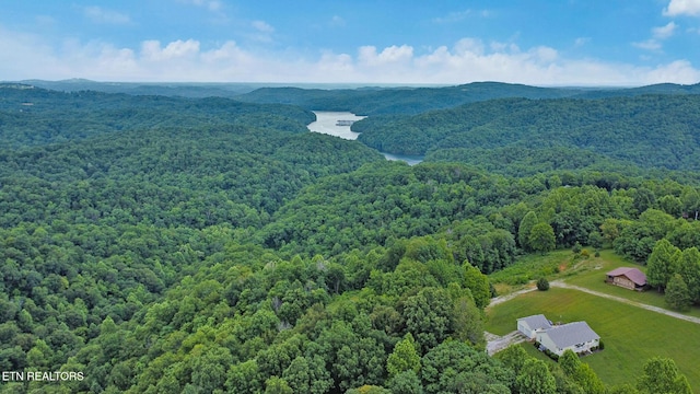 Hidden Cove Ln, Allons, TN 38541 - photo 12