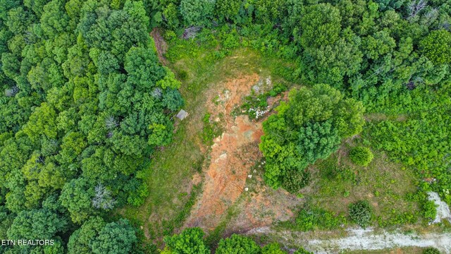 Hidden Cove Ln, Allons, TN 38541 - photo 8