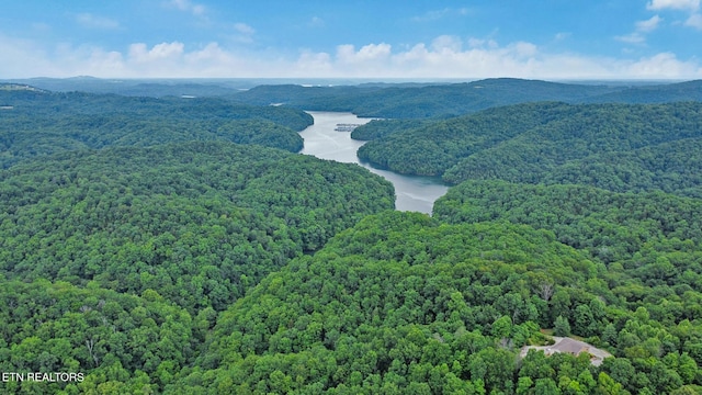 Hidden Cove Ln, Allons, TN 38541 - photo 1