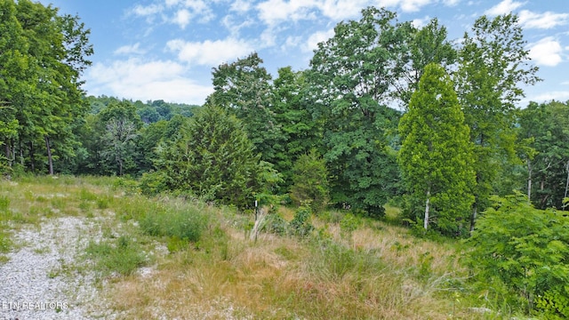 Hidden Cove Ln, Allons, TN 38541 - photo 4