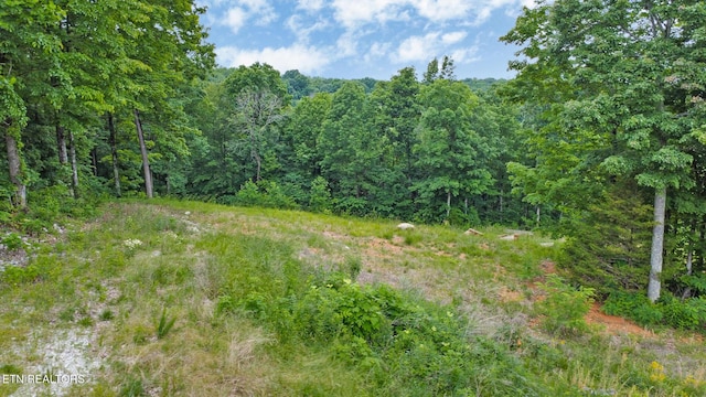 Hidden Cove Ln, Allons, TN 38541 - photo 5