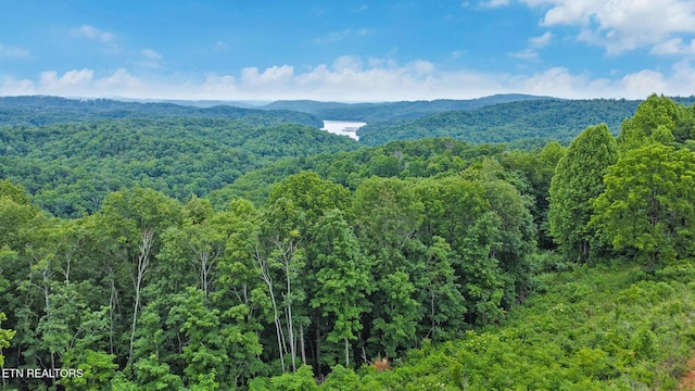 Hidden Cove Ln, Allons, TN 38541 - photo 9