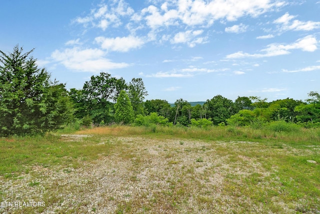 Hidden Cove Ln, Allons, TN 38541 - photo 6