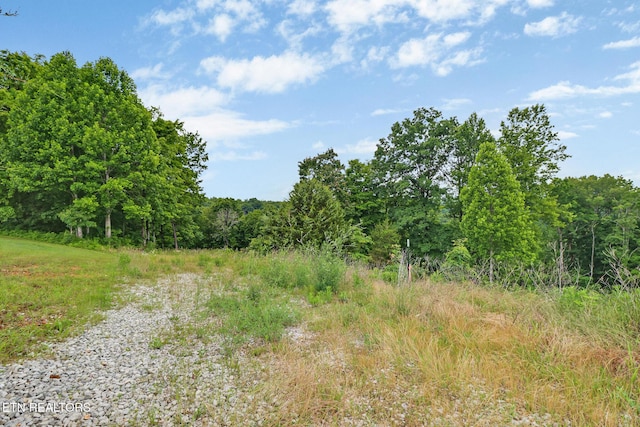 Hidden Cove Ln, Allons, TN 38541 - photo 7