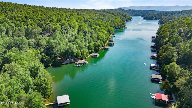 2270 Cove Pointe Rd, Lafollette, TN 37766 - aerial view of a forest and a water and mountain view
