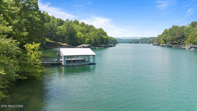 2270 Cove Pointe Rd, Lafollette, TN 37766 - water view with a dock and boat lift