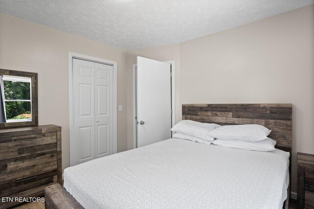 2270 Cove Pointe Rd, Lafollette, TN 37766 - bedroom with a closet and a textured ceiling