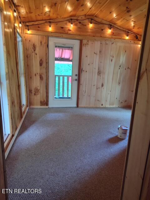 419 River Rd, Huntsville, TN 37756 - empty room with wooden ceiling, track lighting, wood walls, carpet flooring, and lofted ceiling