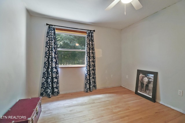 1703 Lively Rd, Maryville, TN 37801 - photo 32