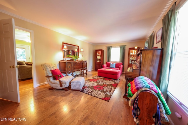 12 Blue Mountain Ct, Oak Ridge, TN 37830 - photo 9
