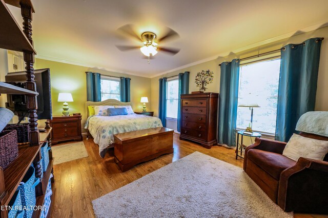 12 Blue Mountain Ct, Oak Ridge, TN 37830 - photo 28