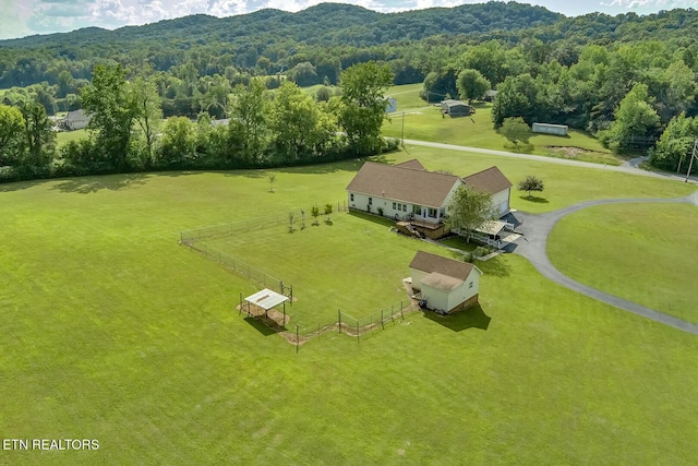 512 Caney Creek Rd, Harriman, TN 37748 - photo 53