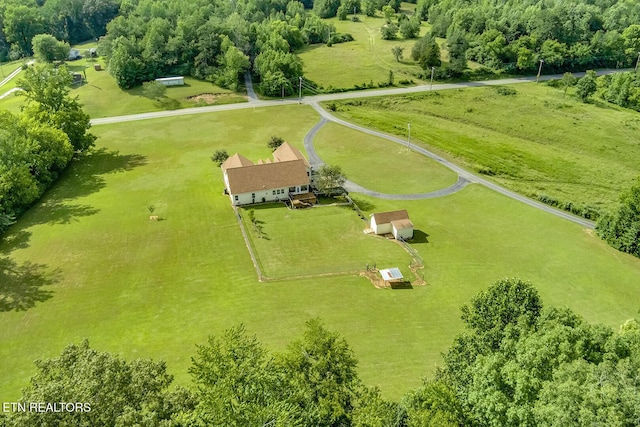 512 Caney Creek Rd, Harriman, TN 37748 - photo 54