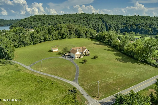 512 Caney Creek Rd, Harriman, TN 37748 - photo 55
