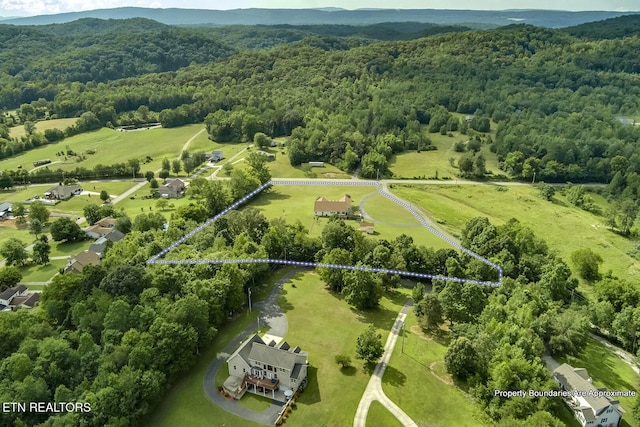 512 Caney Creek Rd, Harriman, TN 37748 - photo 56