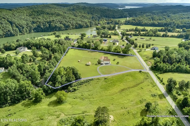 512 Caney Creek Rd, Harriman, TN 37748 - photo 57