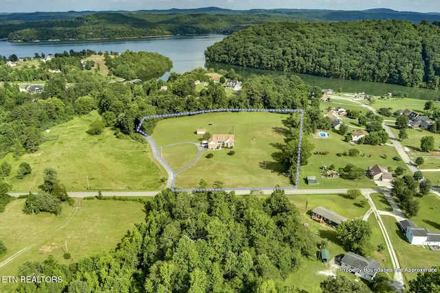 512 Caney Creek Rd, Harriman, TN 37748 - photo 58