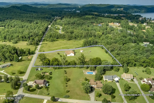 512 Caney Creek Rd, Harriman, TN 37748 - photo 59
