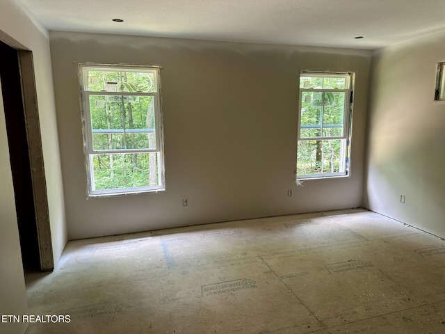 154 Adler Ln, Crossville, TN 38558 - photo 6