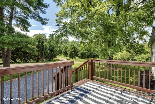 294 County Road 260, Niota, TN 37826 - photo 5