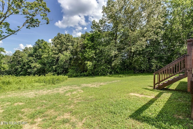 294 County Road 260, Niota, TN 37826 - photo 44