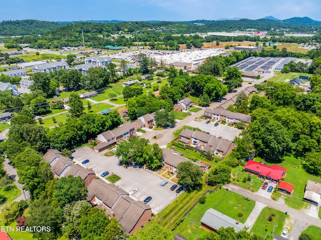 4402 Washington Ct, Knoxville, TN 37917 - photo 4