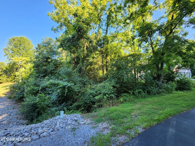141 Saloli Way, Loudon, TN 37774 - photo 3