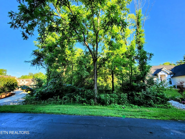 141 Saloli Way, Loudon, TN 37774 - photo 1