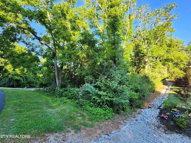 141 Saloli Way, Loudon, TN 37774 - photo 4