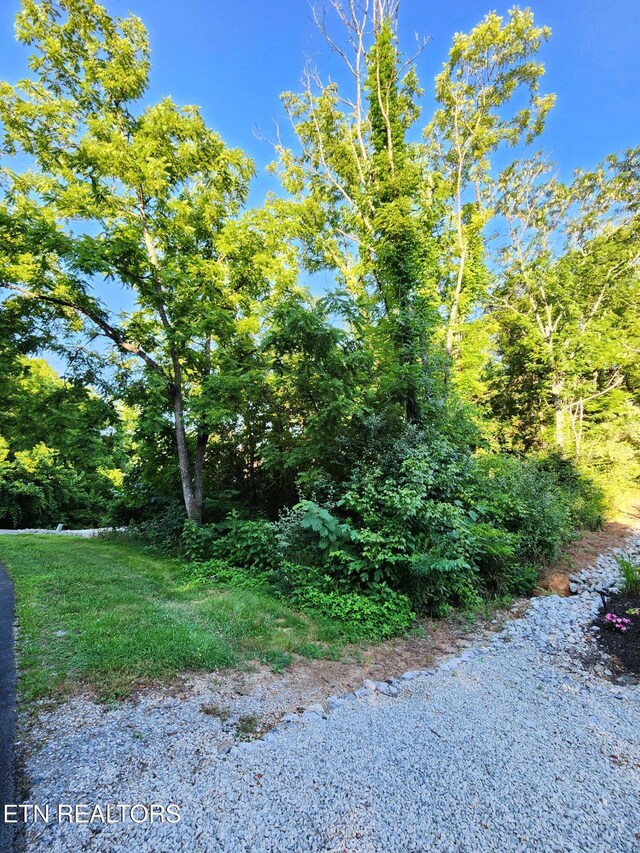 141 Saloli Way, Loudon, TN 37774 - photo 5