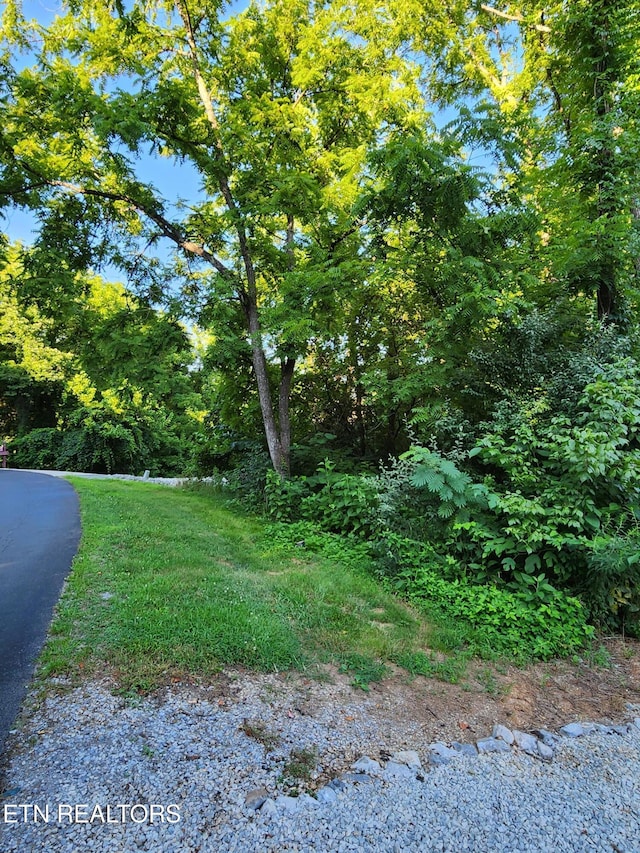 141 Saloli Way, Loudon, TN 37774 - photo 6