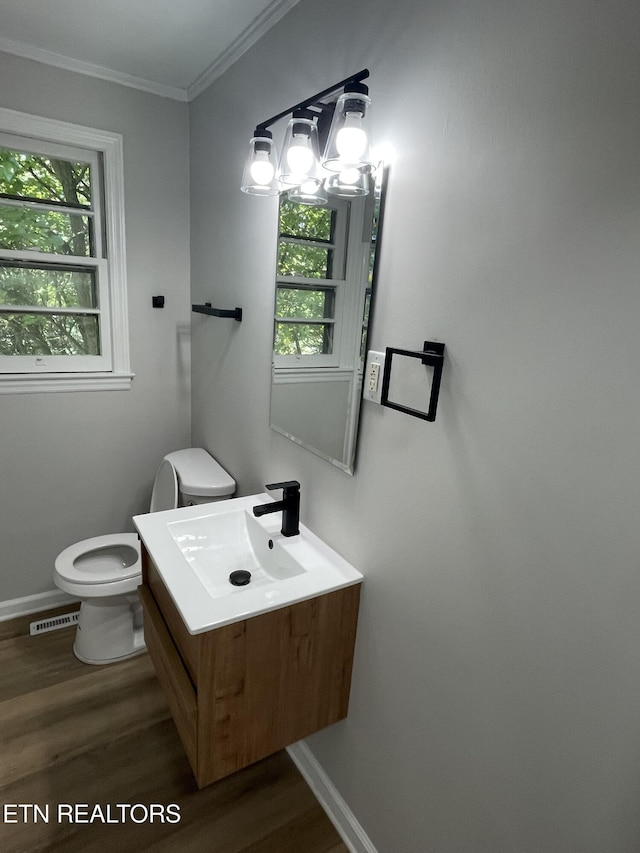 3431 Skyline Dr, Knoxville, TN 37914 - bathroom featuring healthy amount of natural light, wood finished floors, ornamental molding, and vanity