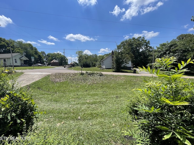 3431 Skyline Dr, Knoxville, TN 37914 - view of green lawn with driveway