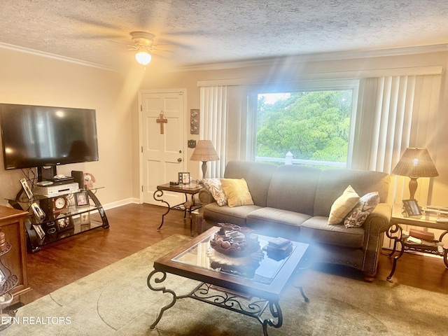 175 Clear Branch Rd, Rocky Top, TN 37769 - photo 21