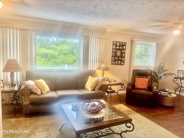 175 Clear Branch Rd, Rocky Top, TN 37769 - photo 22