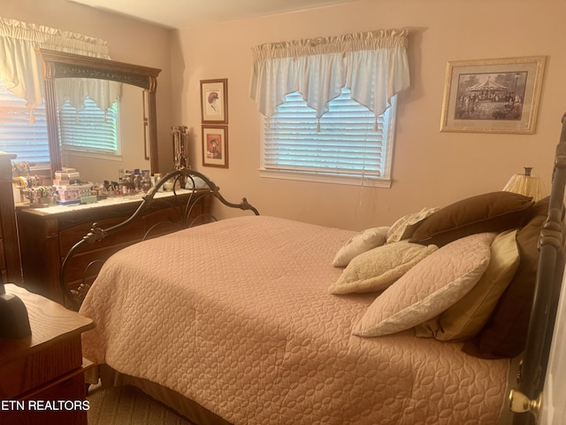 175 Clear Branch Rd, Rocky Top, TN 37769 - photo 25