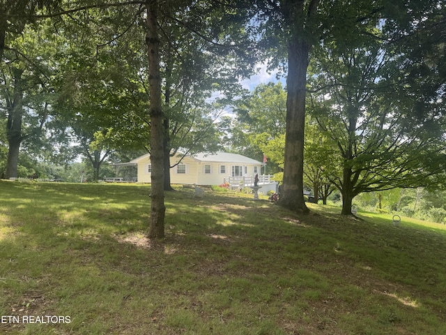 175 Clear Branch Rd, Rocky Top, TN 37769 - photo 41