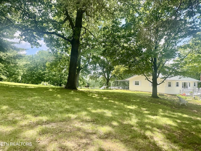 175 Clear Branch Rd, Rocky Top, TN 37769 - photo 8