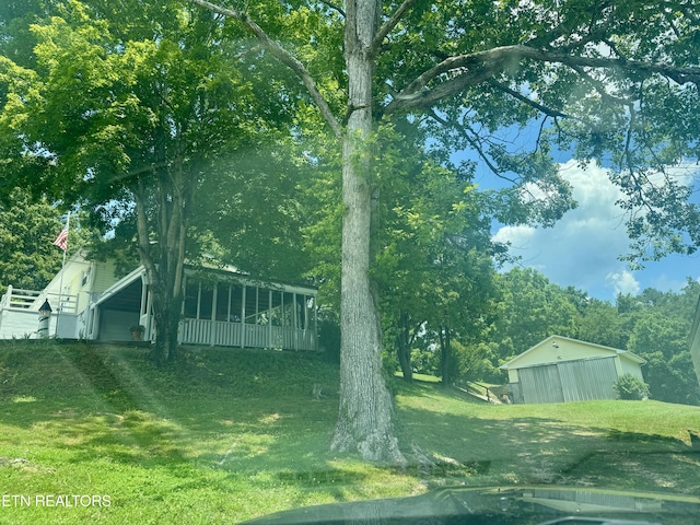175 Clear Branch Rd, Rocky Top, TN 37769 - photo 9
