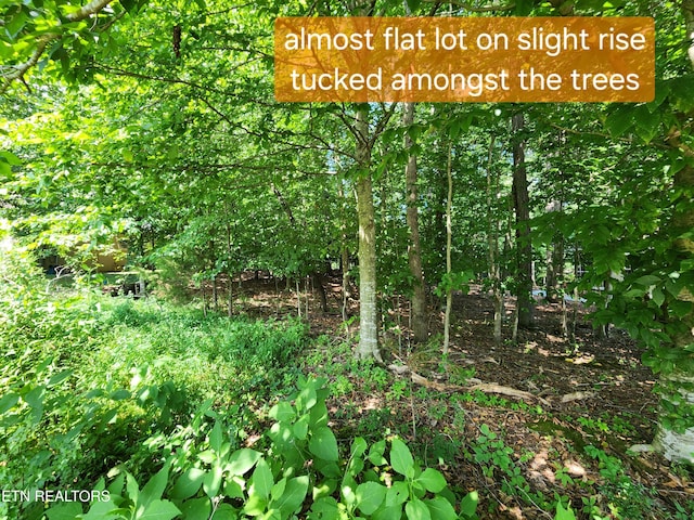 122 Golanvyi Trl, Vonore, TN 37885 - photo 2